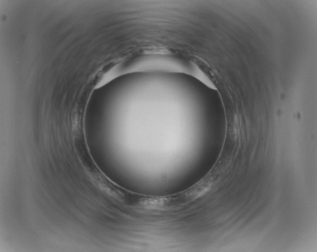 X0000083610084200702260939