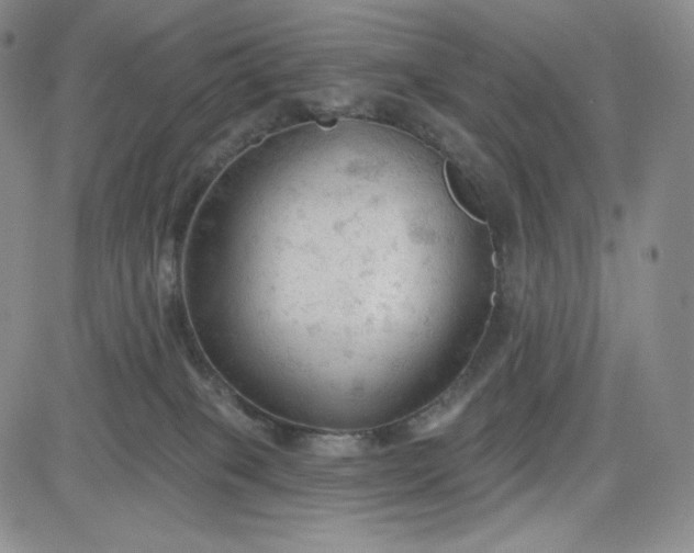 X0000083610085200702260939