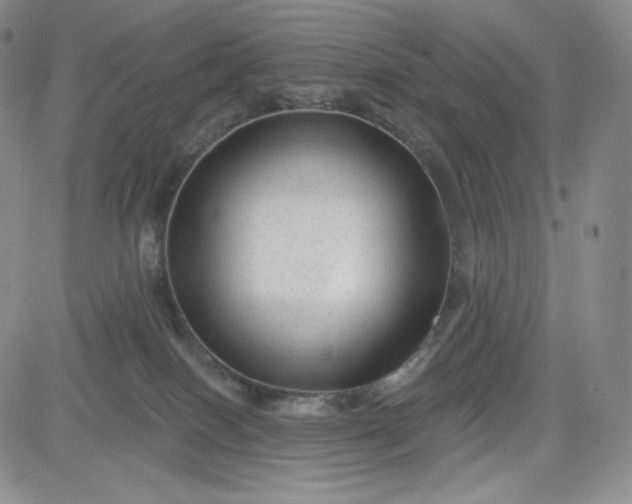 X0000083610086200702260939