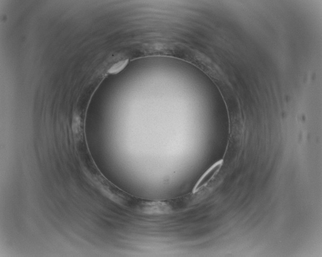 X0000083610087200702260939