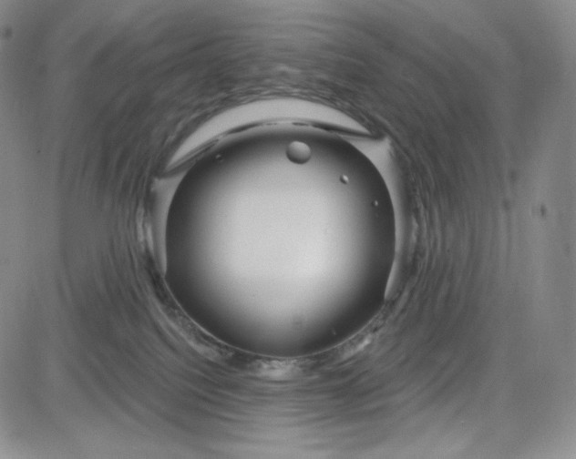 X0000083610088200702260939