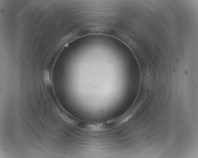 X0000083610089200702260939