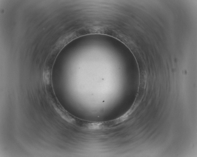 X0000083610090200702260939