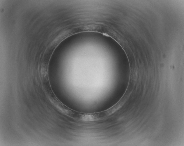 X0000083610091200702260939