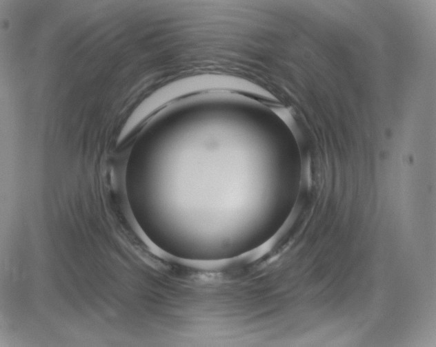 X0000083610092200702260939