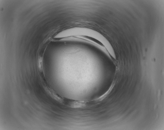 X0000083610094200702260939