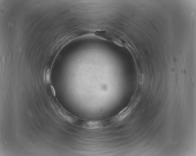 X0000083610095200702260939