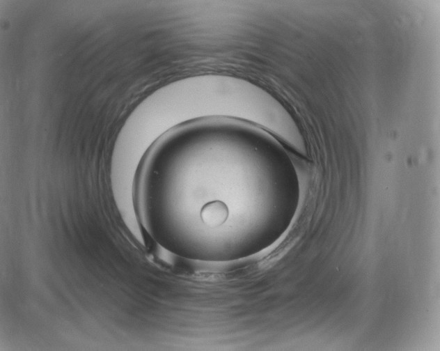 X0000083610096200702260939