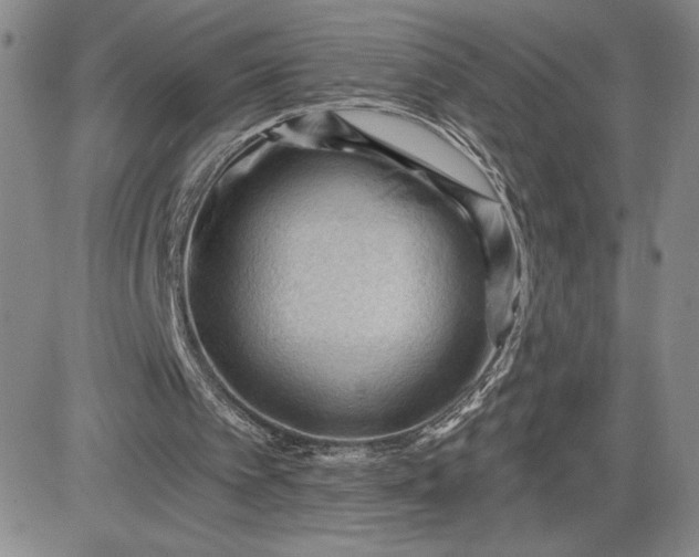 X0000083610097200702260938