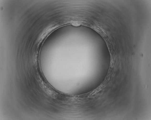 X0000083610098200702260938