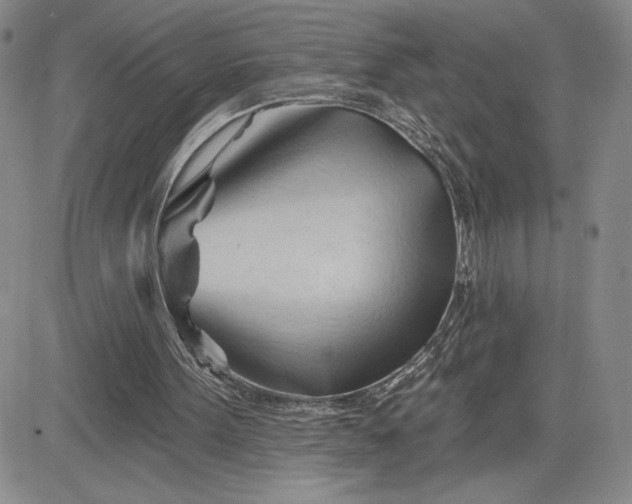 X0000083610099200702260938