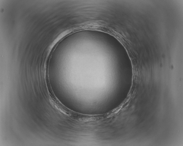 X0000083610100200702260938