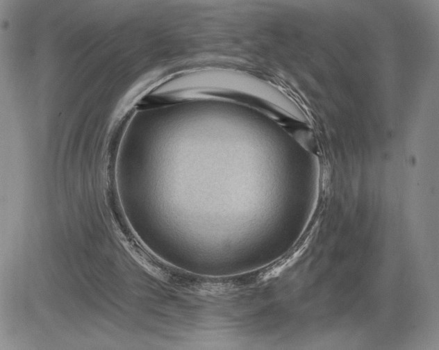 X0000083610101200702260938