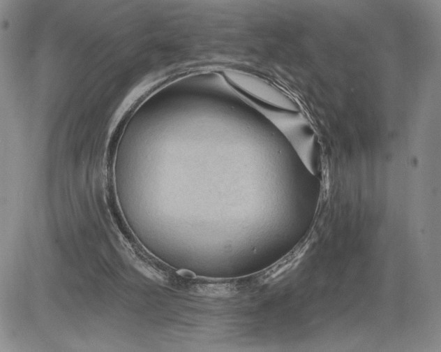 X0000083610102200702260938