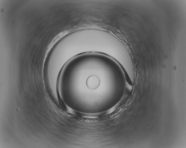 X0000083610104200702260938