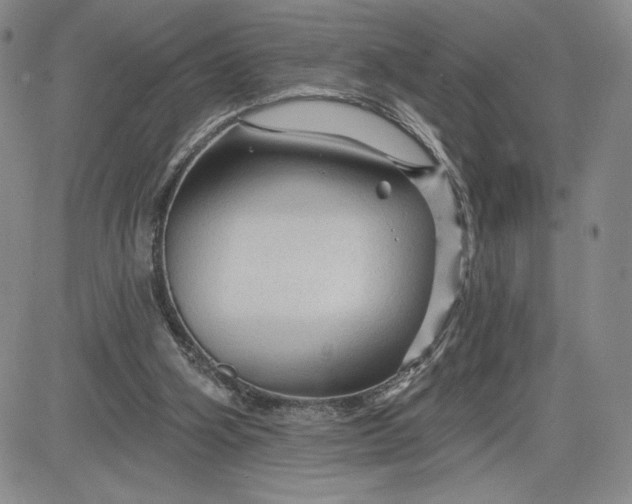 X0000083610106200702260938