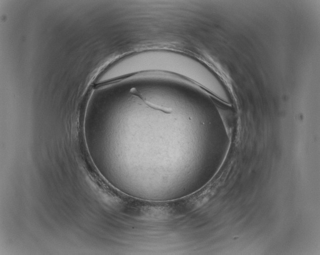 X0000083610107200702260938