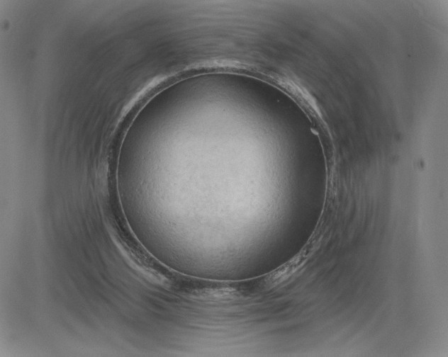 X0000083610108200702260938