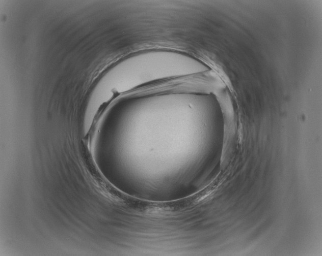 X0000083610109200702260938