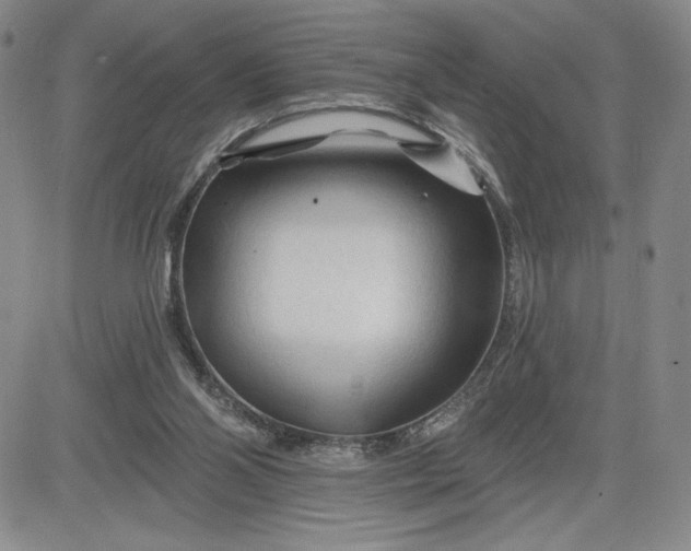 X0000083610110200702260938