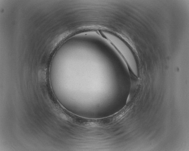 X0000083610111200702260938