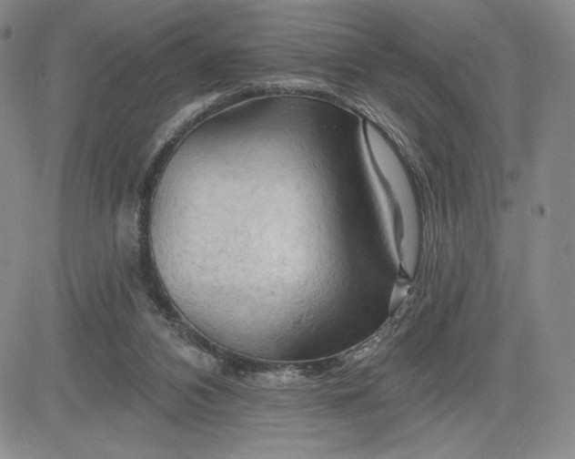 X0000083610112200702260938