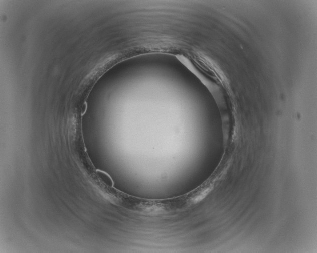 X0000083610113200702260938