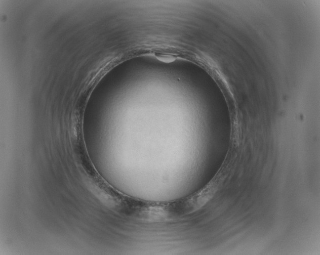 X0000083610114200702260938