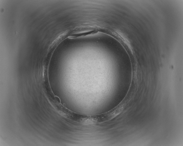 X0000083610115200702260938