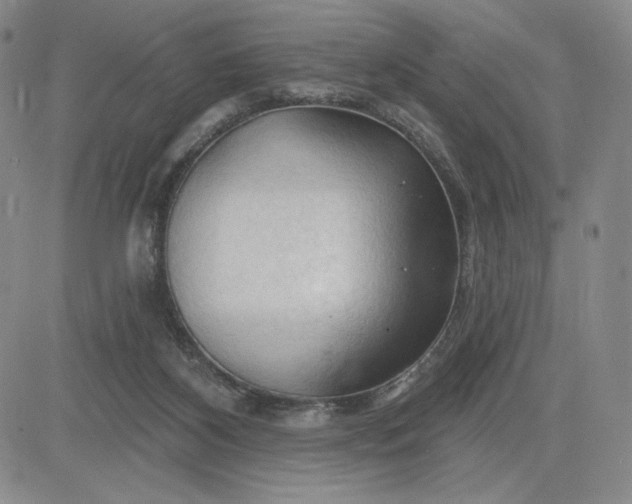 X0000083610116200702260938