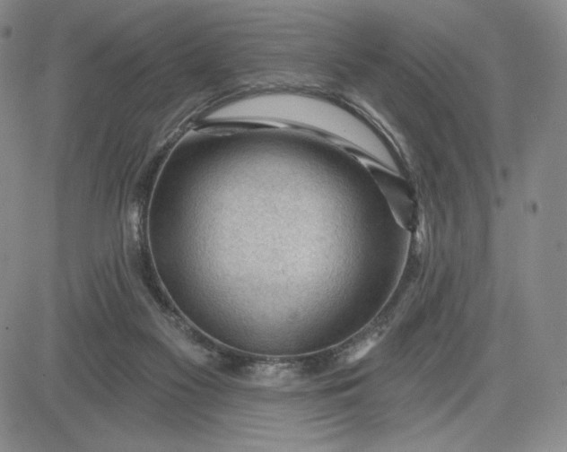 X0000083610117200702260938