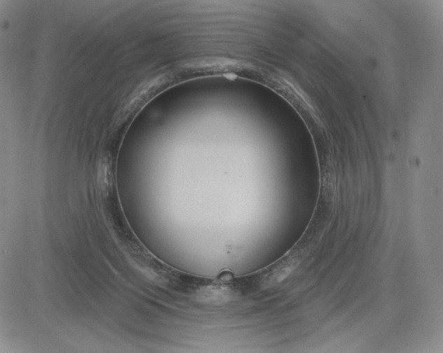 X0000083610119200702260938