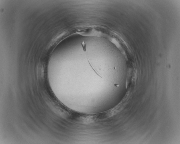 X0000083610120200702260938