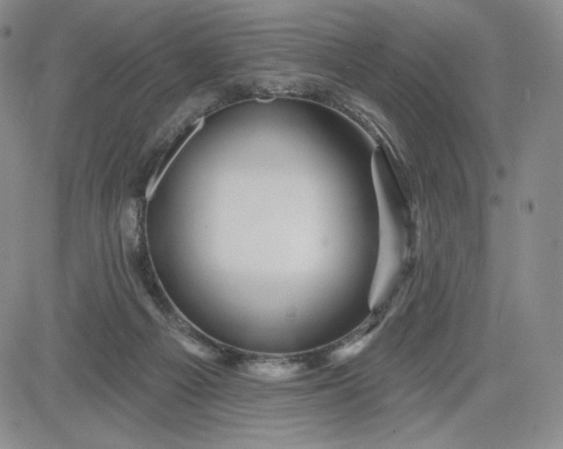 X0000083610121200702260938