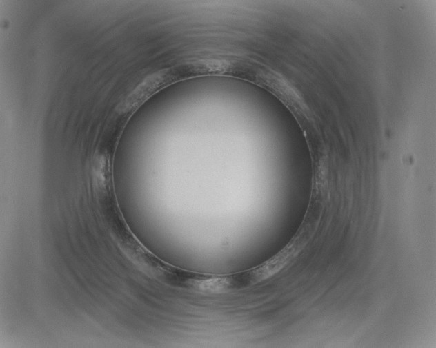 X0000083610122200702260938