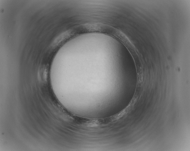 X0000083610124200702260938