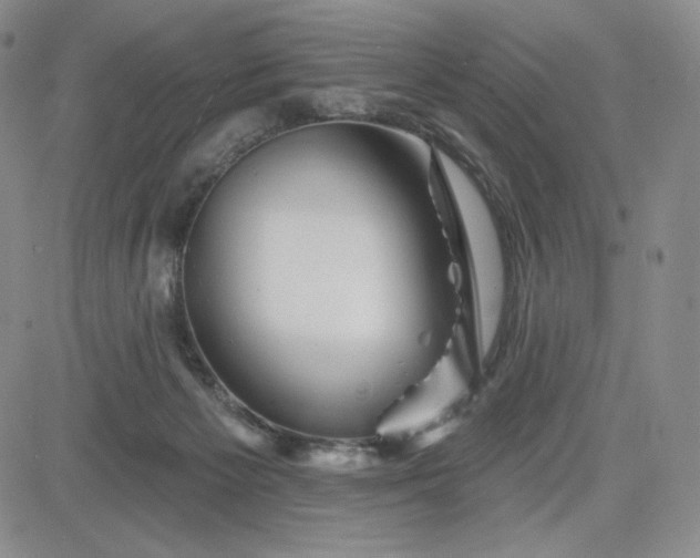 X0000083610125200702260938