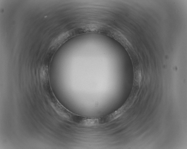 X0000083610126200702260938