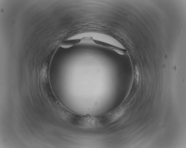 X0000083610127200702260938