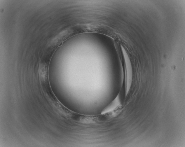 X0000083610129200702260937