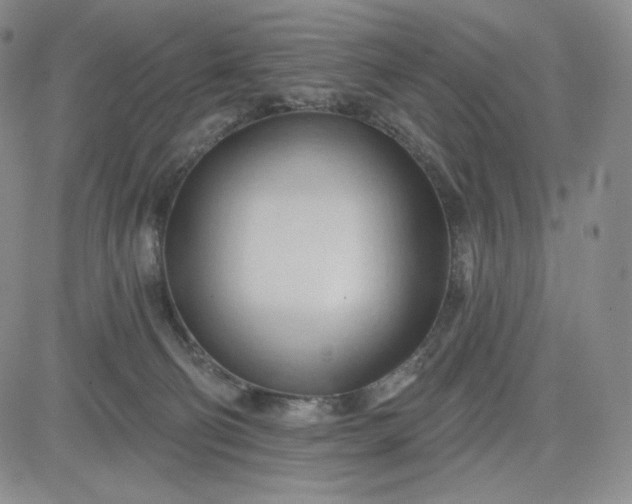 X0000083610130200702260937