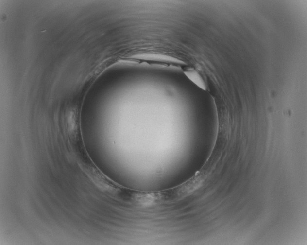 X0000083610131200702260937