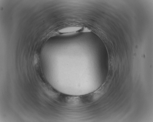 X0000083610132200702260937