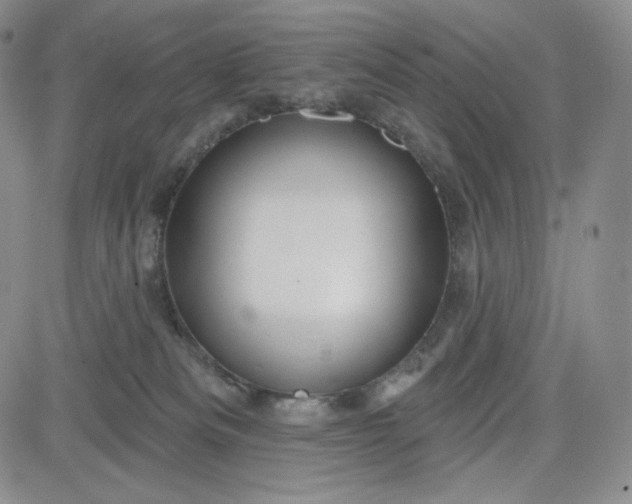 X0000083610133200702260937