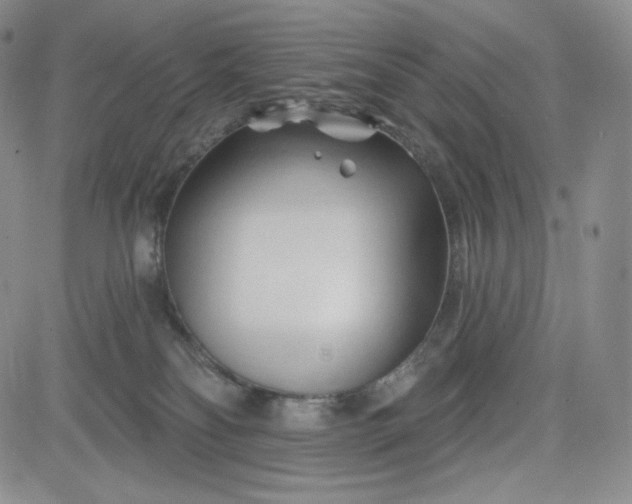 X0000083610134200702260937