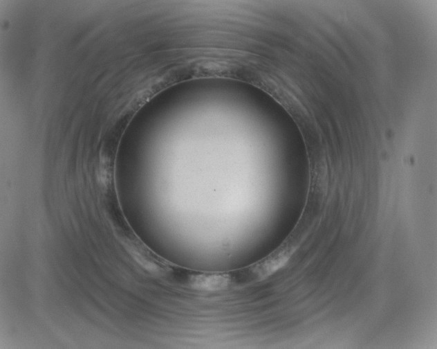 X0000083610135200702260937