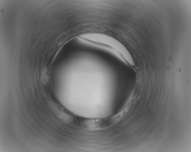 X0000083610136200702260937