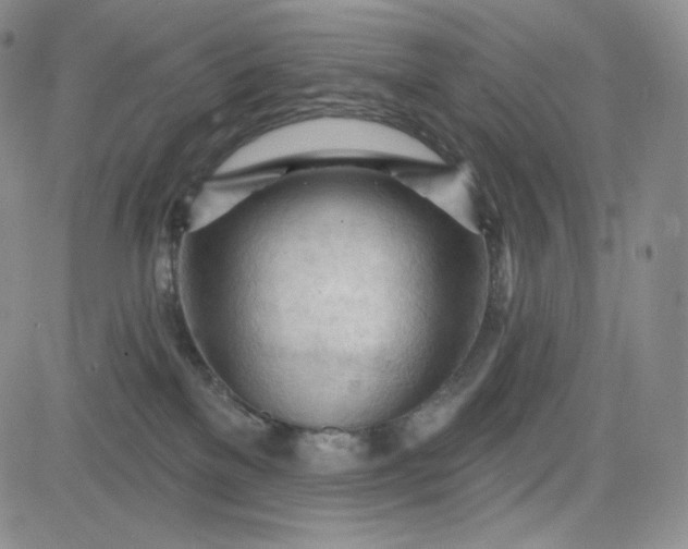 X0000083610137200702260937