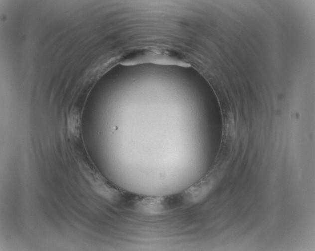 X0000083610138200702260937