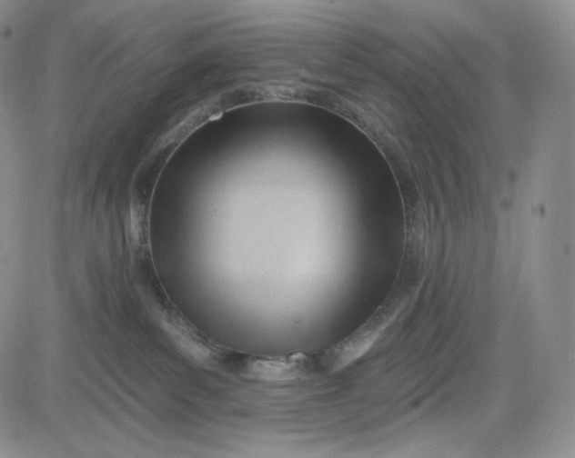 X0000083610139200702260937